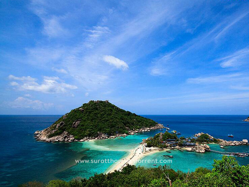 รถตู้เช่า สุราษฎร์ธานี
